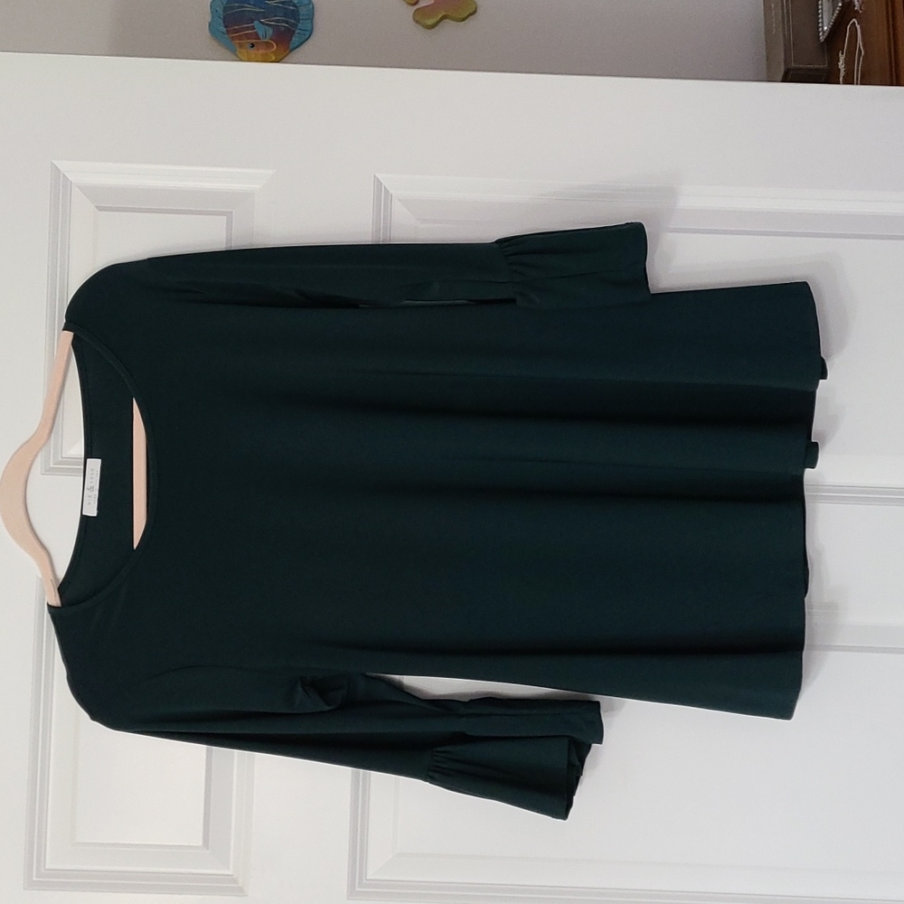 Nic & Lulu new kelly green blouse